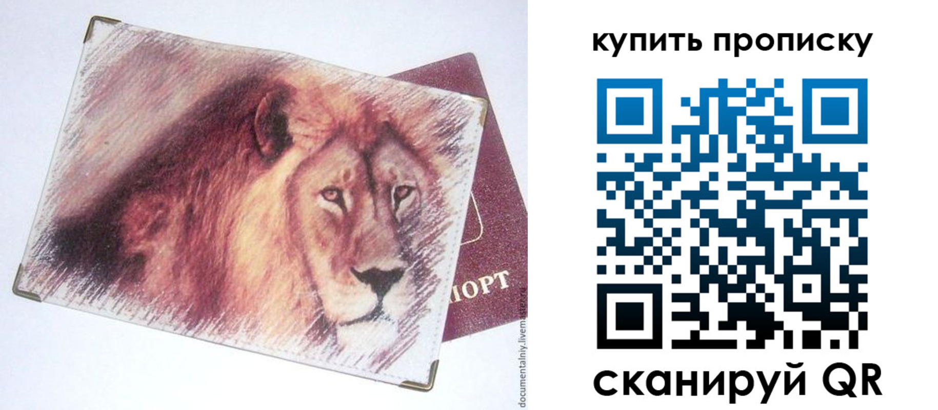 прописка паспорт в Ясном